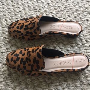sole society leopard mules